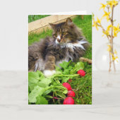 Cat and Gard Radish / Verjaardag Wenskaart Kaart (Gele Bloem)