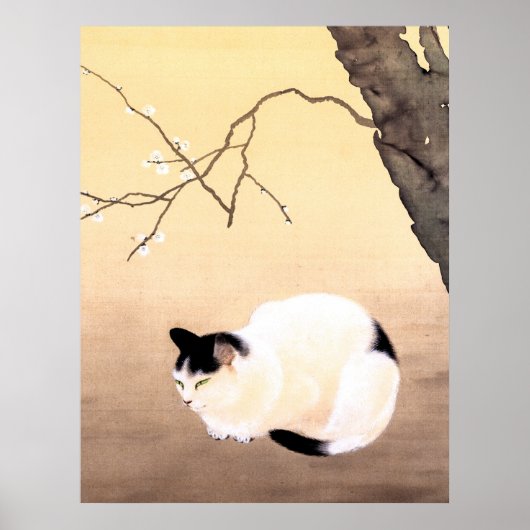 Cat and Plum Blossom - Hishida Shunso Poster (Voorkant)