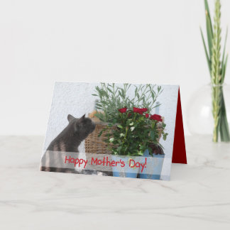 Cat and Roses Happy Mother's Day! Kaart