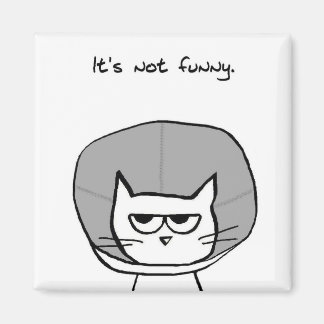 Cat and the Cone of Shame - Funny Cat Magnet