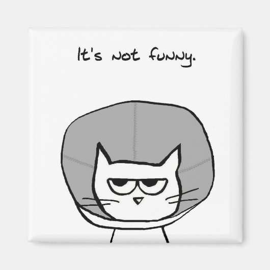 Cat and the Cone of Shame - Funny Cat Magnet (Voorkant)