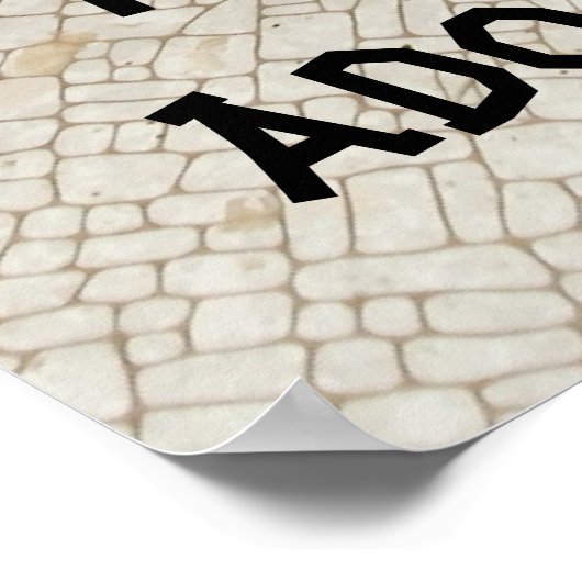 Cat and Tortoise - "Je bent geadopteerd" Poster (Hoek)