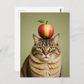 Cat Apple Briefkaart (Voorkant / Achterkant)