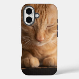 Cat Apple Iphone 16 Case