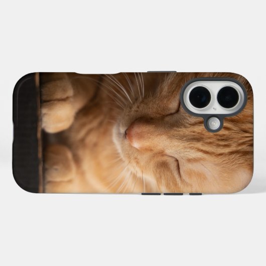 Cat Apple Iphone 16 Case (Achterkant (horizontaal))