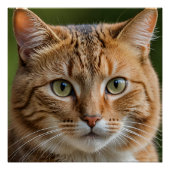 Cat Art 20" x 20", Poster papier (halfglans) (Voorkant)