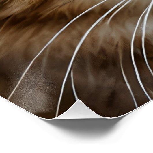 Cat Art 20" x 20", Poster papier (halfglans) (Hoek)