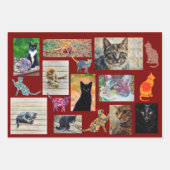 Cat Art Cat Lover Kitty Fun Wrapping Craft Paper (Voorkant)