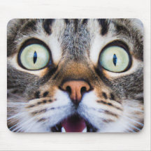 Cat Art | Verrassd Kat | Funny Kitten Mousepad