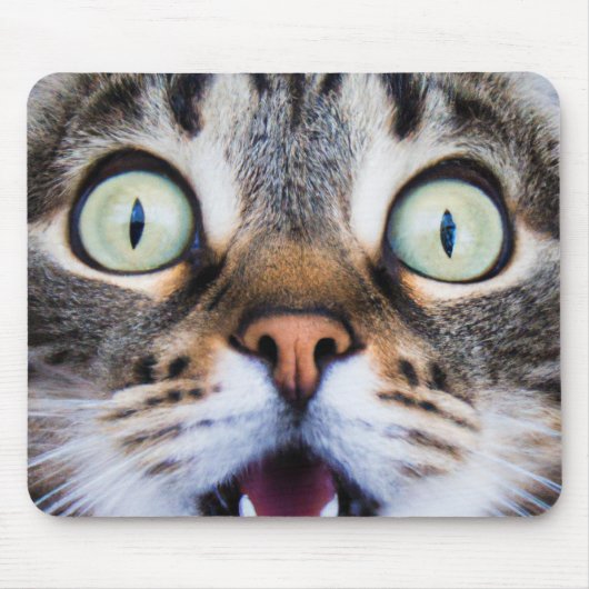 Cat Art | Verrassd Kat | Funny Kitten Mousepad Muismat (Voorkant)
