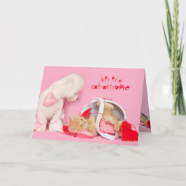 Cat-astrophe Valentijn hond en kat kaart