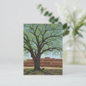 Cat at Taos Pueblo New Mexico Briefkaart (Staand voorkant)