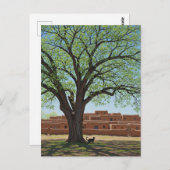 Cat at Taos Pueblo New Mexico Briefkaart (Voorkant / Achterkant)