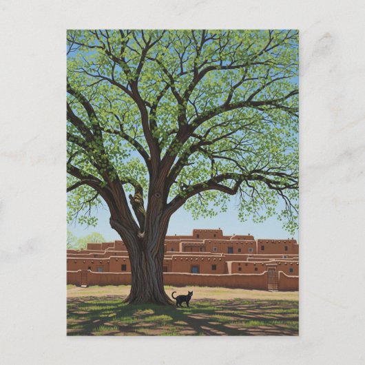 Cat at Taos Pueblo New Mexico Briefkaart (Voorkant)