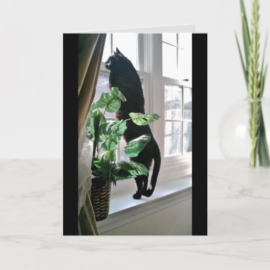 Cat at Window Note Kaart (Voorkant)