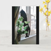 Cat at Window Note Kaart (Gele Bloem)