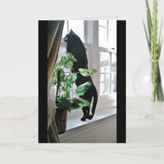 Cat at Window Note Kaart