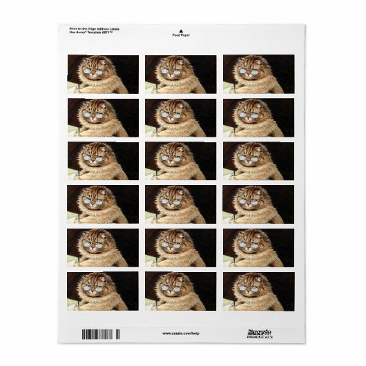 Cat at work with glasses by Louis Wain Etiket (Full Sheet)