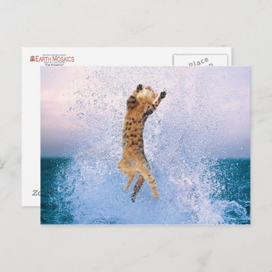 Cat Baling Briefkaart (Voorkant / Achterkant)