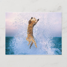 Cat Baling Briefkaart