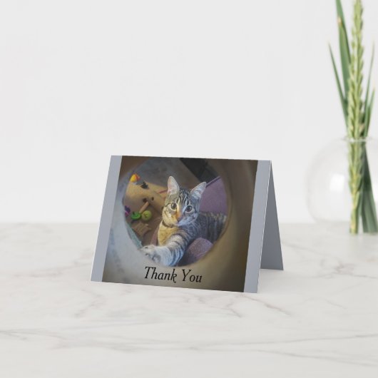 Cat bedankkaart (Voorkant)