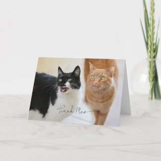 Cat bedankkaart kaart