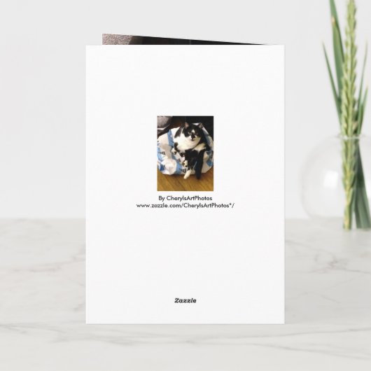 Cat Bedankt voor mijn kerstcadeaubonnen (Achterkant)