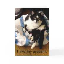 Cat Bedankt voor mijn kerstcadeaubonnen