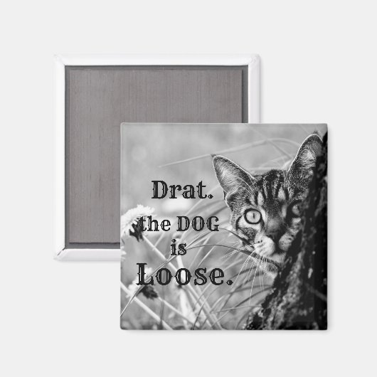 Cat Behind Tree, Drat, de hond is los. Magnet (Voorkant / Achterkant)