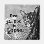 Cat Behind Tree, Drat, de hond is los. Magnet (Voorkant)