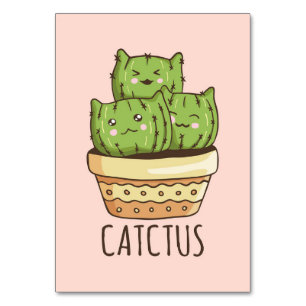 Cat bereikt Cactus Kaart