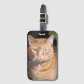Cat Bicycle-speelkaarten Bagagelabel (Voorkant (verticaal))