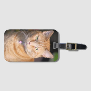 Cat Bicycle-speelkaarten Bagagelabel