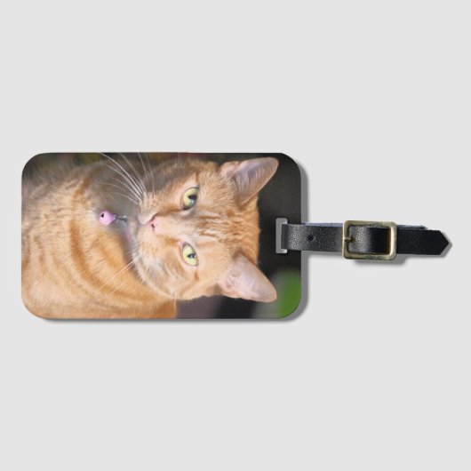Cat Bicycle-speelkaarten Bagagelabel (Voorkant (horizontaal))