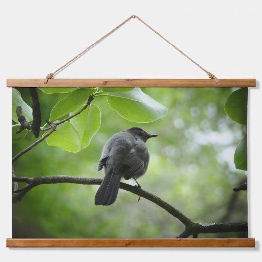 Cat Bird foto op hout geplakt wandtapijt Hangend Wandkleed (Voorkant)