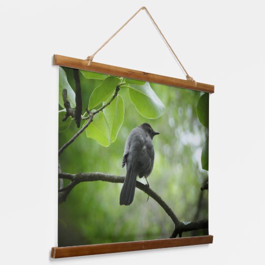 Cat Bird foto op hout geplakt wandtapijt Hangend Wandkleed (Gebogen)
