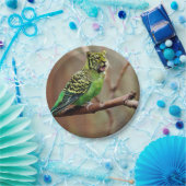 Cat-Bird Papieren Bordje (Feest)