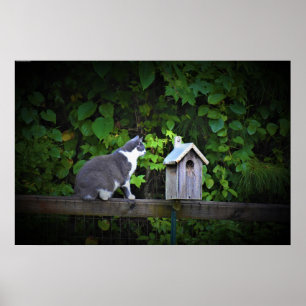 Cat & Birdhouse Poster