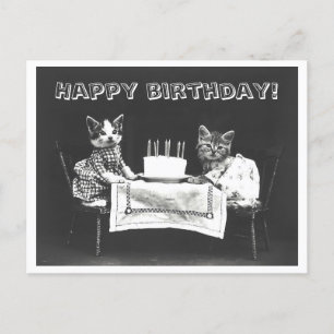  Cat Birthday Cake Oddity Briefkaart