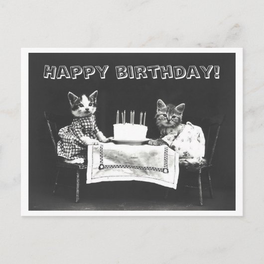  Cat Birthday Cake Oddity Briefkaart (Voorkant)