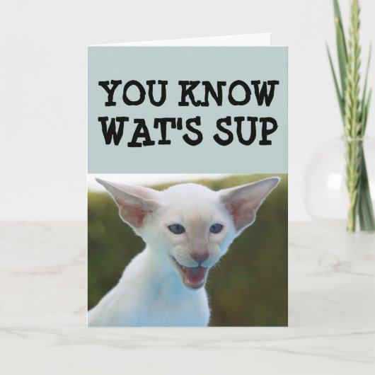CAT BIRTHDAY FUNNY CARD KAART (Voorkant)