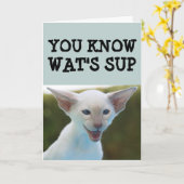 CAT BIRTHDAY FUNNY CARD KAART (Gele Bloem)