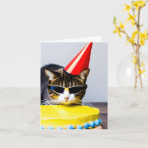 Cat Birthday Gevouwen Wenskaart