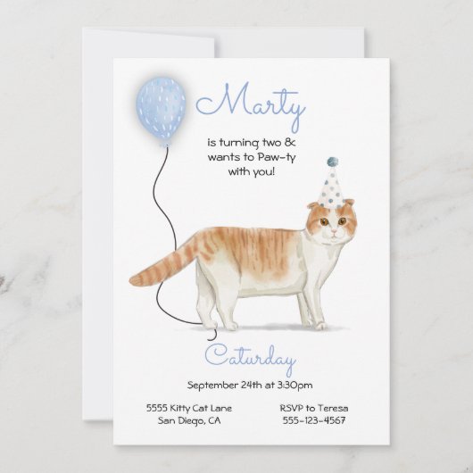 Cat Birthday Party Invitation Kaart (Voorkant)