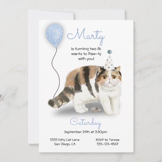 Cat Birthday Party Invitation Kaart (Voorkant)