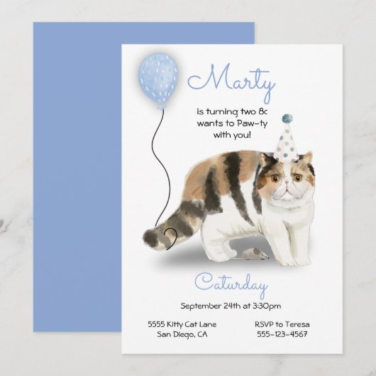Cat Birthday Party Invitation Kaart (Voorkant / Achterkant)