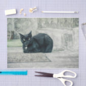 Cat Black Cute  Antiek ontkoppelpagina Tissuepapier (Craft)