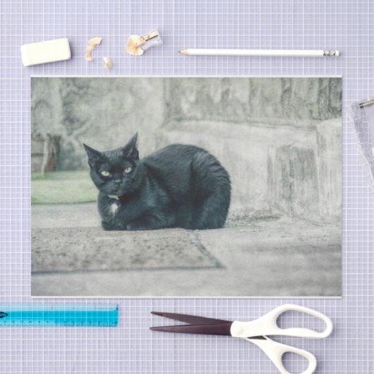 Cat Black Cute  Antiek ontkoppelpagina Tissuepapier (Craft)