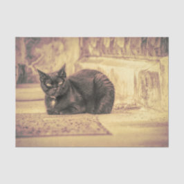 Cat Black Cute  Antiek Sepia Art Tissuepapier