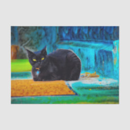 Cat Black Cute Colorful Blue Oranje ontkoppelpagin Tissuepapier